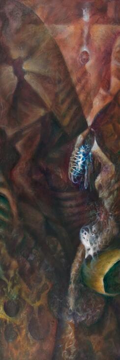 Gracefull Frustrations